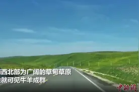 甘南路边景色绿意盎然，生机勃勃图片