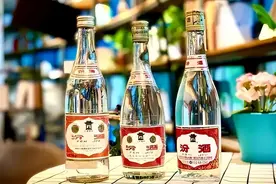 白酒十大“光瓶酒”，你都喝过吗？图片