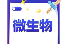 错过后悔，一线实验员大肠菌群能力比对实验实例分享图片