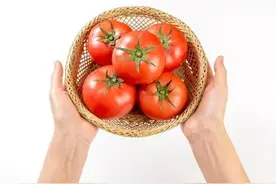 西红柿上一种病害很多人分不清，四不像，您知道它是什么病吗？图片