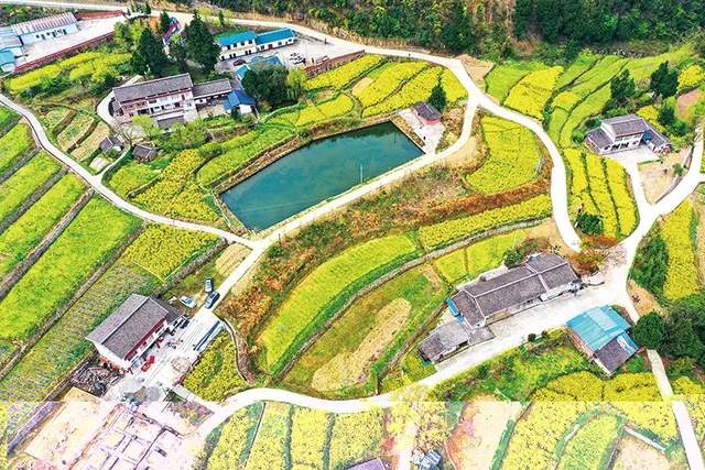 四川省民生研究会新媒体中心-官网