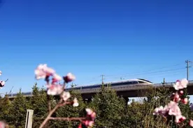 太原铁路：对！高铁上可以点外卖！能送到座位的那种！图片