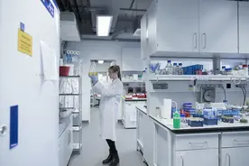 毛发检测：检出毒品，等同于阳性，等同于6个月内吸食过毒品？图片
