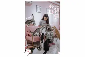 甜度爆表的「流浪猫咖」，比心凌男孩还甜图片