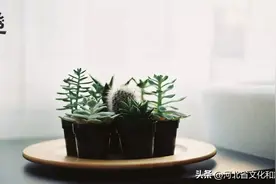 《活着》中最经典话，句句都是真理图片