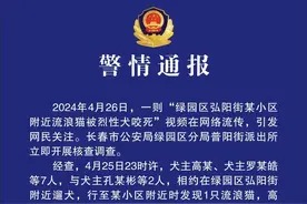 多人驱使烈犬撕咬流浪猫致死！长春警方通报：三名犬主被行政处罚图片