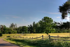 从来不给你朋友圈点赞的人，无疑是这3种心理，不建议来往图片