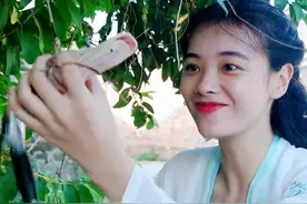 煲剧必备的酱香鸭头，美味到嗦手指，不用再高价出去买图片