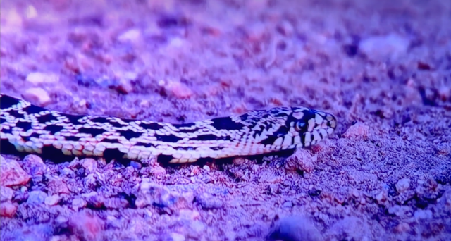 激光投影技术原理剖析：三色激光和APLD1.0单色激光哪个更好？