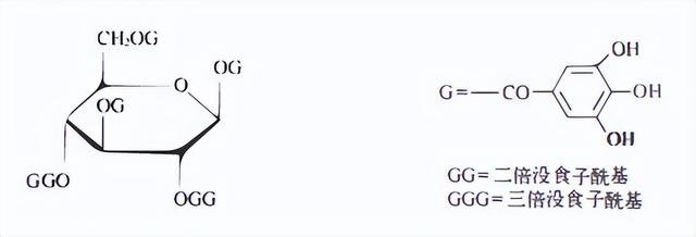 植物功效成分-鞣质