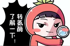 【豫健科普】献血时发现转氨酶偏高不必过度惊慌图片