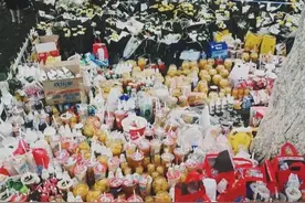 羽鑫妈妈写给她在天堂女儿的一封信，催人泪下啊。图片