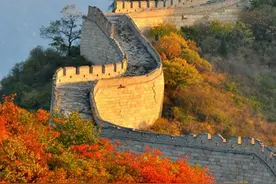 心脏快跳出来了图片