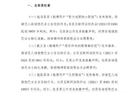 迪丽热巴工作室：追究侵权者的法律责任图片