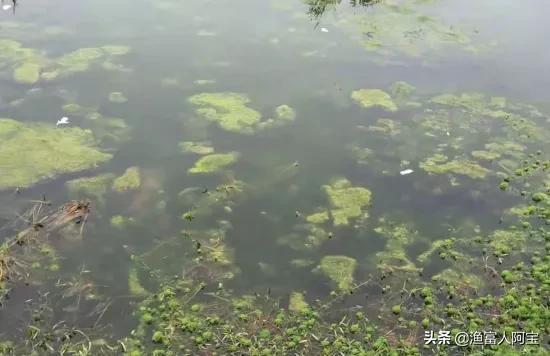 肥水肥不好，90%是因为这个原因