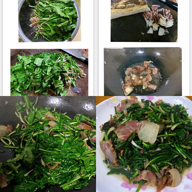 9种常见野菜的好处与吃法，作用一个比一个大，味道一个比一个鲜