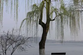 散文：二月，遇见最美的风景，拥有自己的幸福图片