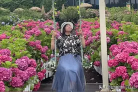 那年高考——是高考改变了我的人生轨迹图片