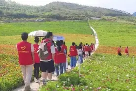 以花海为眼，观冷水江市锡矿山景区巨变图片