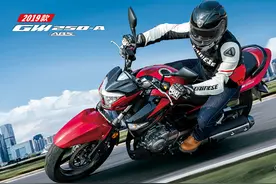 豪爵铃木骊驰 GW250-A详情介绍 售价23680元图片