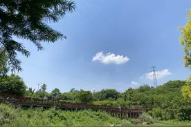 走进嘉州绿心公园（一）——交通路线篇图片
