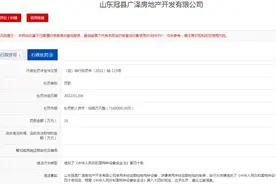 山东冠县广泽房地产开发公司被罚16万图片