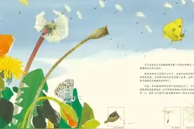 ​跟着植物去旅游（10集）01·旅行中的种子图片
