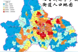 七普成都市各区县，各乡镇街道常住人口。人口密度呈中心环状结构图片