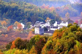 《把话说到点子上》205个想法图片