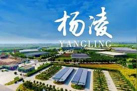 杨凌，26岁正青春图片