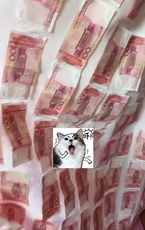 因藏私房钱涨粉500多万!究竟有多会藏?竟能成藏钱界天花板