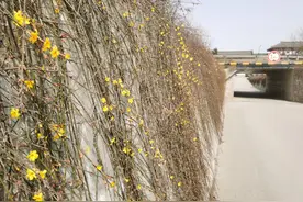 西安周边自驾一日游路线：西安到咸阳，只用70元门票，逛三处景点图片