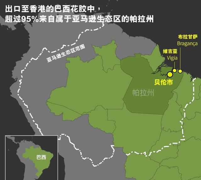 阴阳花胶香港多少钱一斤 花胶 阴阳胶