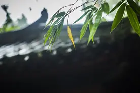 廉吏的遗产图片