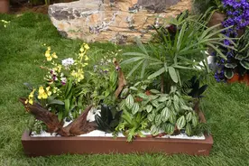 老年单身男人难熬的日子是什么？65岁独居3年的大爷说了心里话图片