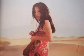 陈平杀死三毛图片