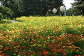 “和”字的阐释图片