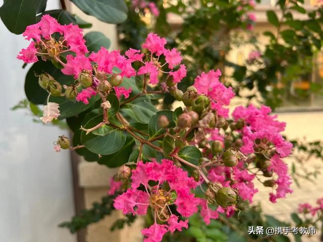 绮怎么读音（绮怎么读）