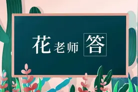 花老师答：怎么才能让自己不可替代？图片