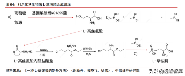 颠覆传统，合成生物：迎来历史发展机遇，乘势而起，引领未来
