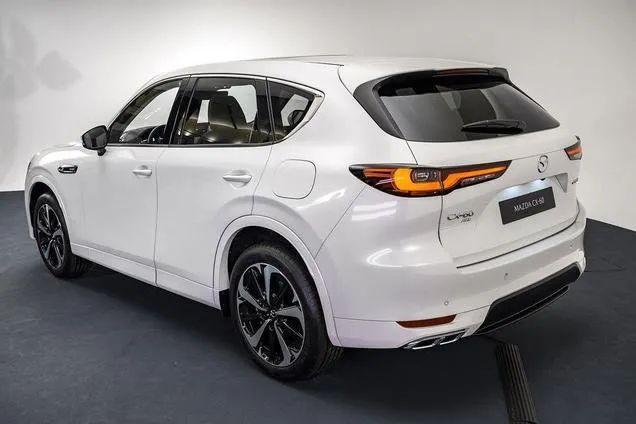 6ף2022ԴﻹȼͳȫCX-60