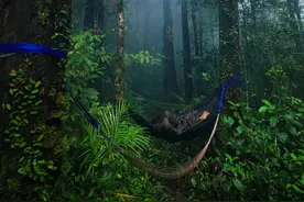 为什么旅行故事总能催人入睡？图片