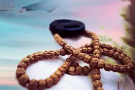 两分钟带你入门，认识百香籽图片