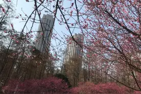 怀孕6个月的女儿发烧了，一家人的心提到嗓子眼！图片