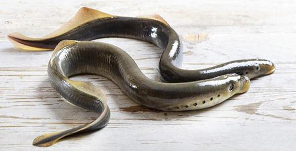 榛戦緳姹熼奔绫讳箣鈥滀笁鍗佷簩鏉傞奔鈥濆浘璋? onerror=