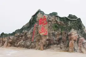大连蛇岛为何有那么多蛇？不足1平方公里，隐藏近2万条蛇图片