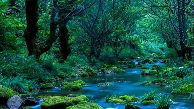 四川省民生研究会新媒体中心-官网