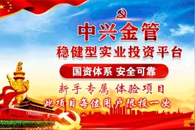 嘉兴经开产业基金投资管理有限公司(中兴金管)：ST板块是什么意思图片