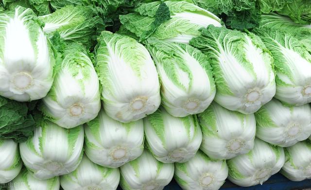 冬天有哪些蔬菜?（冬天）