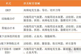 高瓴、康桥、淡马锡押注，三家企业IPO，这个内镜下赛道潜力几何图片